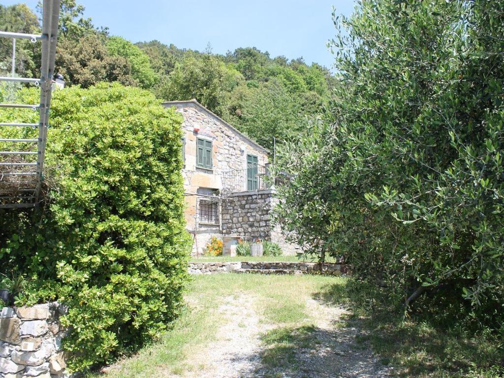 Cottage La Torre Del Pittore Бонассола Экстерьер фото