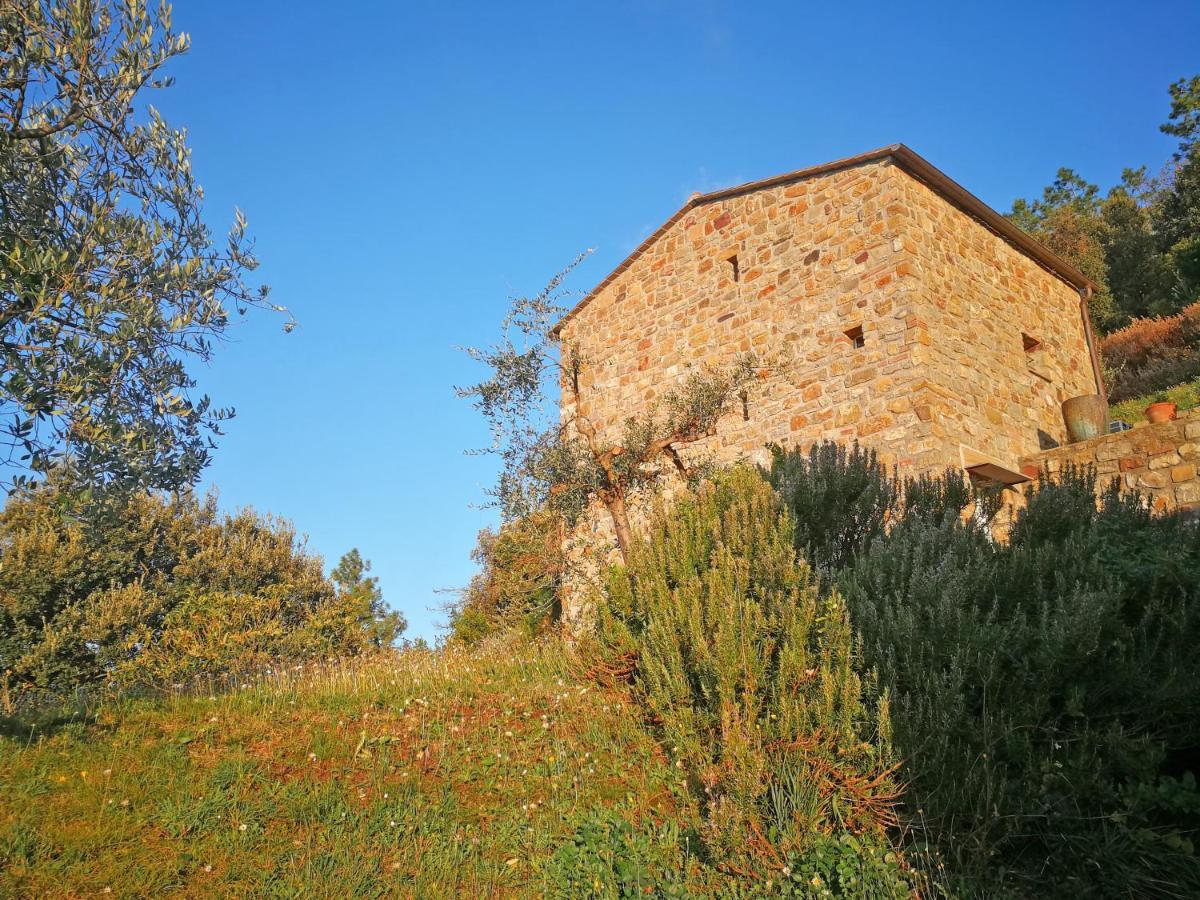 Cottage La Torre Del Pittore Бонассола Экстерьер фото